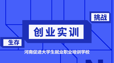 创业实训项目